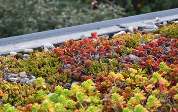the cost of Eastleach Martin green roof installation