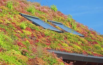 Eastleach Martin living roof systems